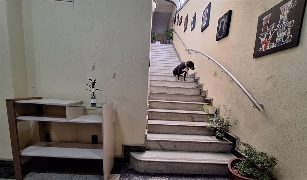 Casal com ar, iluminado e ventilado — foto
